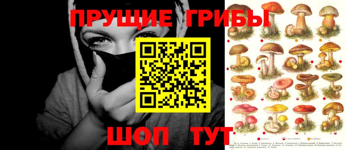 Галлюциногенные грибы GOLDEN TEACHER Симферополь